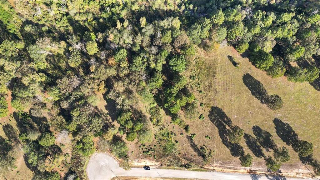 TBD Private Road - Photo 2