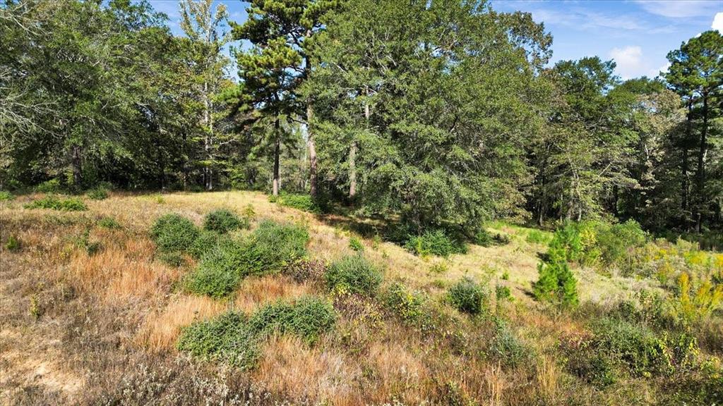 TBD Private Road - Photo 4