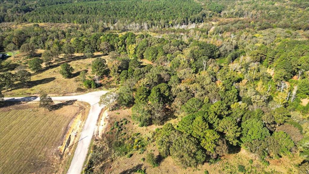 TBD Private Road - Photo 8