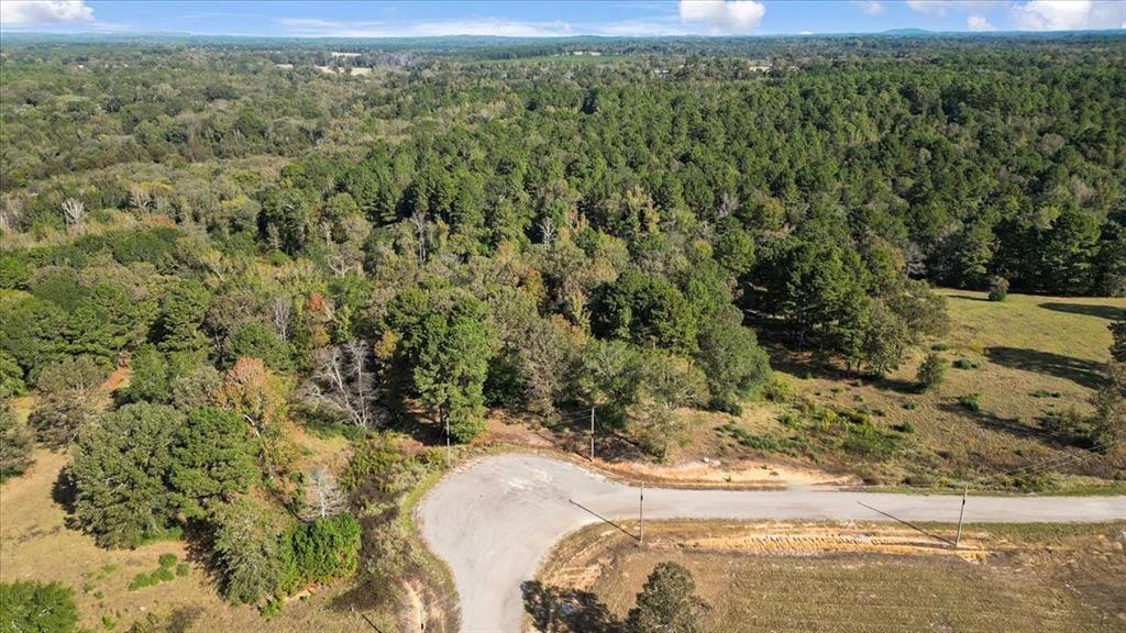 TBD Private Road - Photo 9