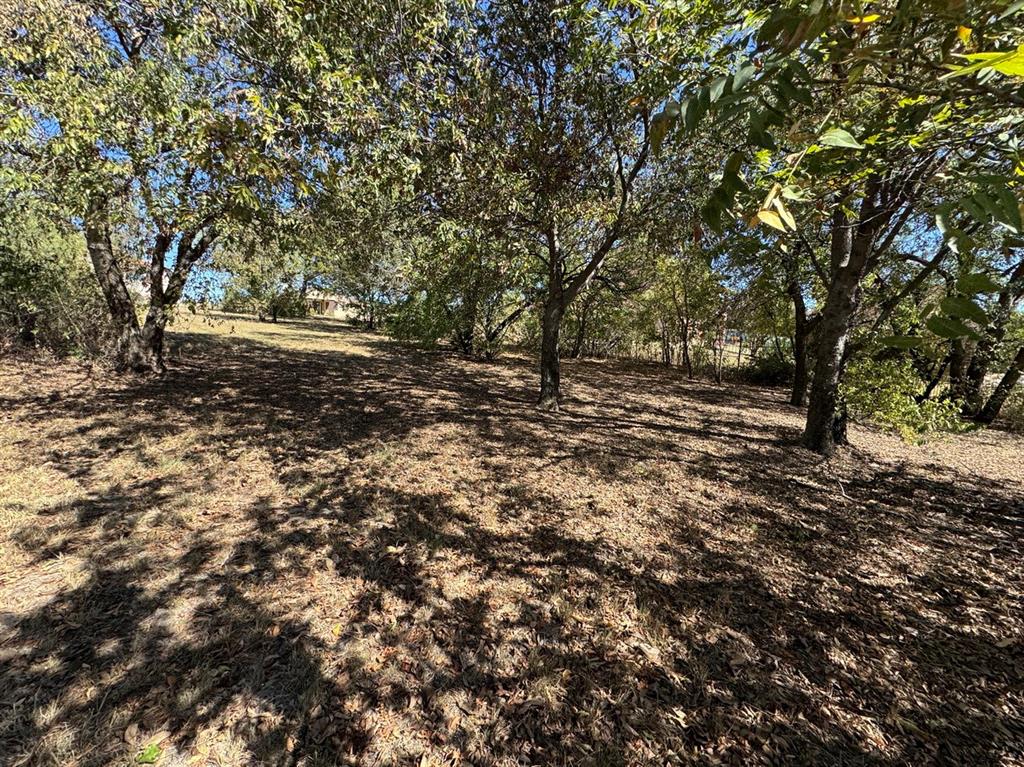 1036 Mallard Pointe Drive - Photo 34
