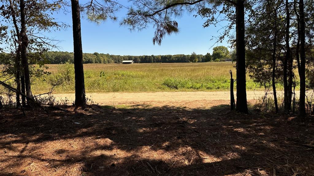 75 County Road 2115 - Photo 2