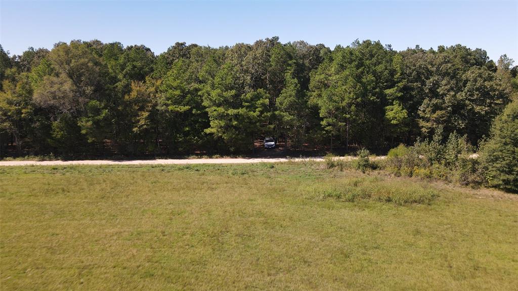 75 County Road 2115 - Photo 6