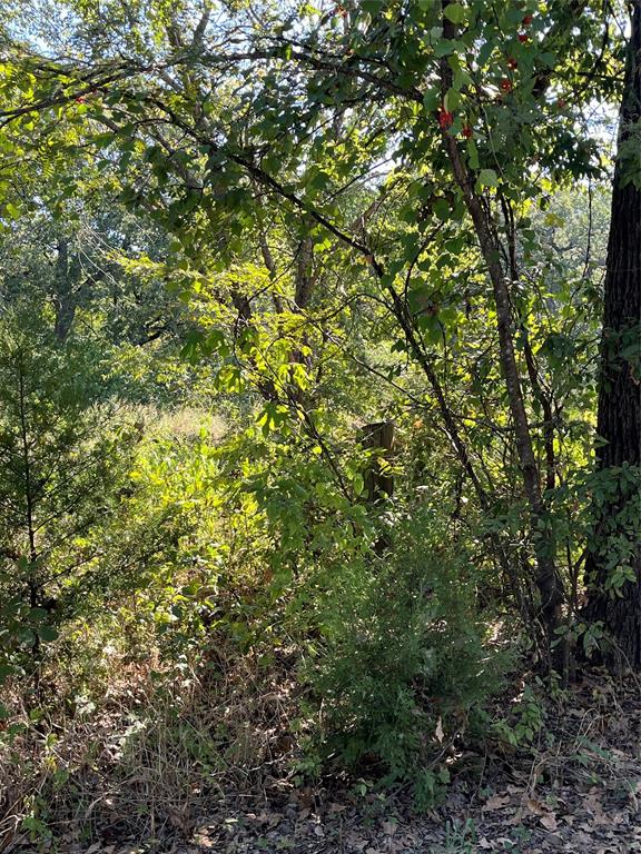 00 Pinewood Drive - Photo 1