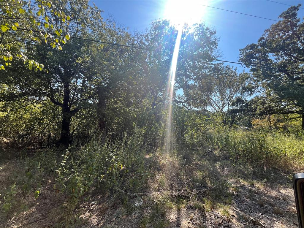 00 Pinewood Drive - Photo 2