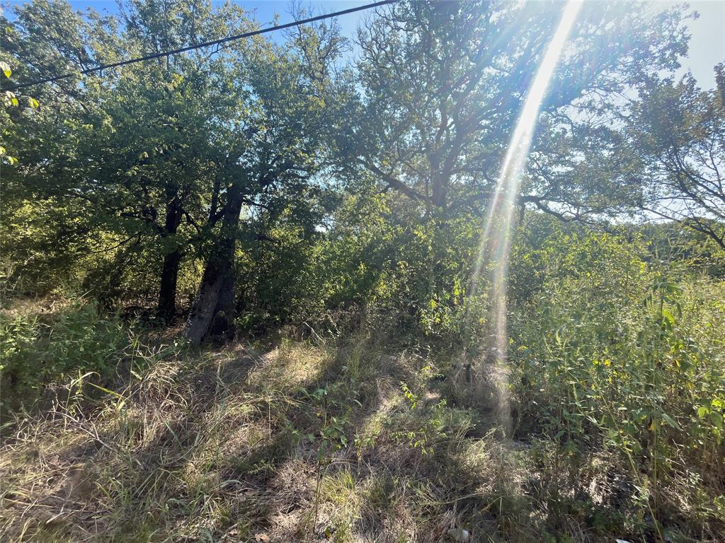 00 Pinewood Drive - Photo 3