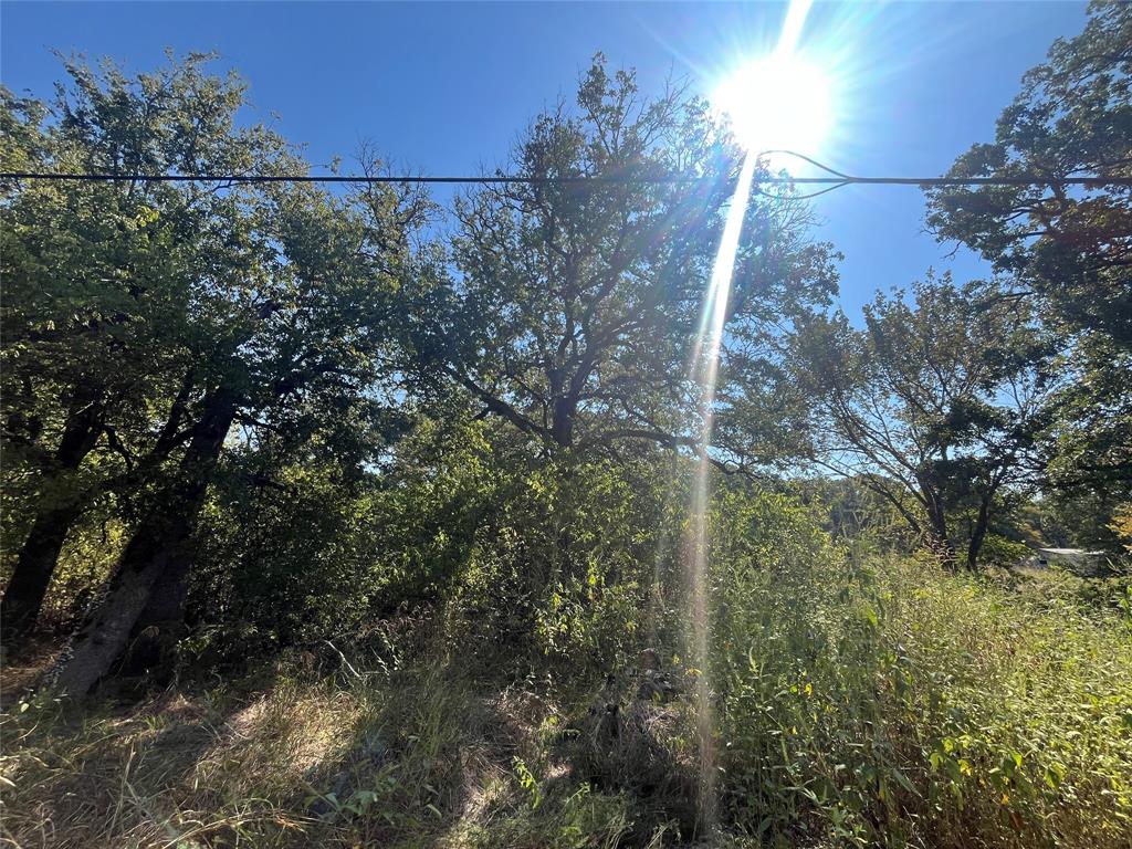 00 Pinewood Drive - Photo 4