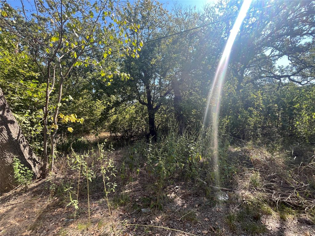 00 Pinewood Drive - Photo 6