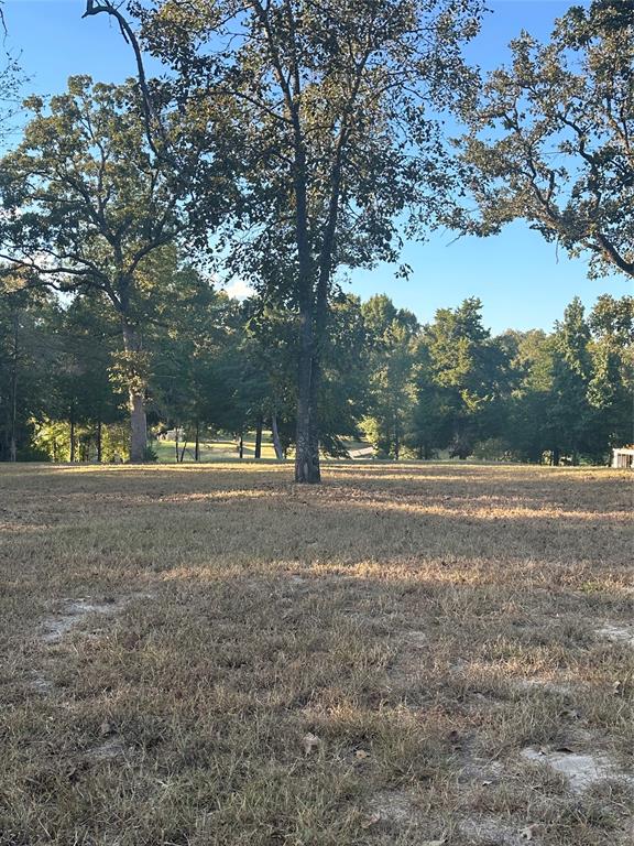 5331 Impala South Road - Photo 3