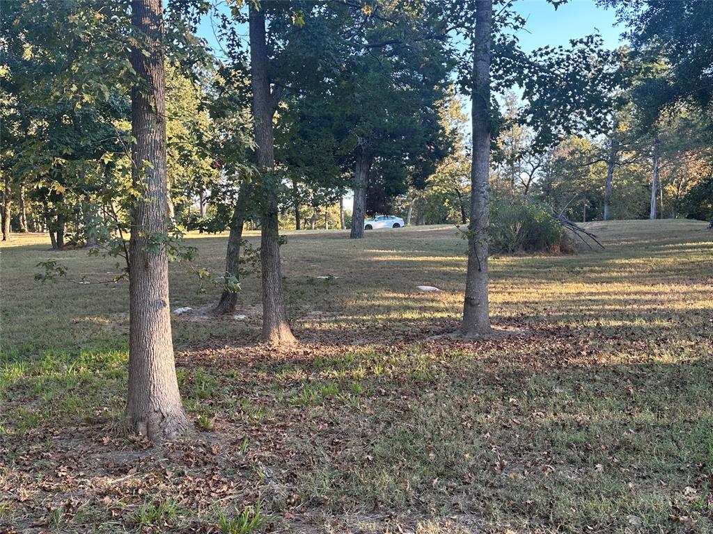 5331 Impala South Road - Photo 5