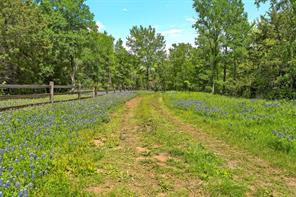 59 ac. Grove Creek Dr. Logue Lane - Photo 10