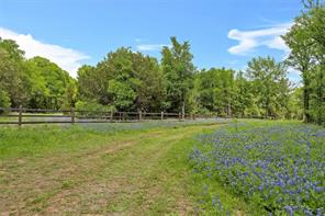 59 ac. Grove Creek Dr. Logue Lane - Photo 12