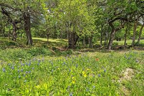 59 ac. Grove Creek Dr. Logue Lane - Photo 13