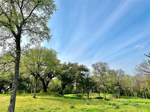 59 ac. Grove Creek Dr. Logue Lane - Photo 14