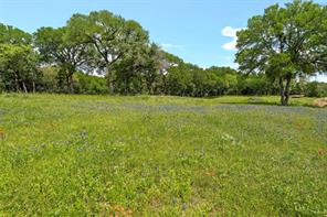 59 ac. Grove Creek Dr. Logue Lane - Photo 16