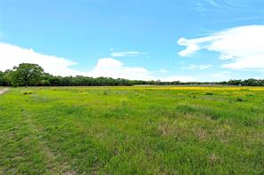 59 ac. Grove Creek Dr. Logue Lane - Photo 21