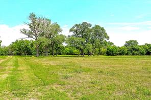 59 ac. Grove Creek Dr. Logue Lane - Photo 23
