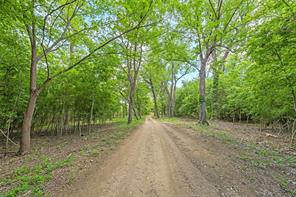 59 ac. Grove Creek Dr. Logue Lane - Photo 5