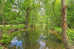 59 ac. Grove Creek Dr. Logue Lane - Photo 8