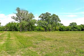 59 ac. Grove Creek Dr. Logue Lane - Photo 9