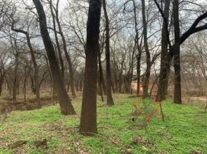 00000 Hudson Drive - Photo 8