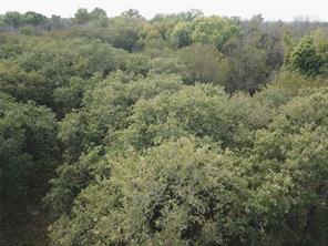 00000 Hudson Drive - Photo 9