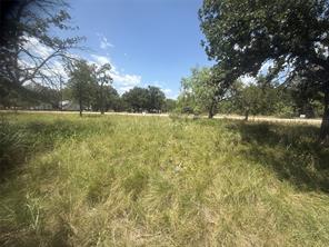 TBD (lot 691) S Lakes Drive - Photo 10