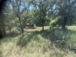 TBD (lot 691) S Lakes Drive - Photo 6