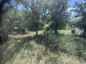 TBD (lot 691) S Lakes Drive - Photo 7