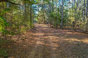 0 COUNTY ROAD 3409 - Photo 26