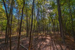 0 COUNTY ROAD 3409 - Photo 27