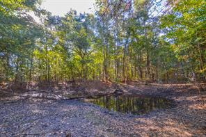 0 COUNTY ROAD 3409 - Photo 29