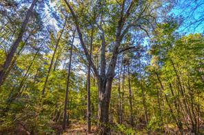 0 COUNTY ROAD 3409 - Photo 3
