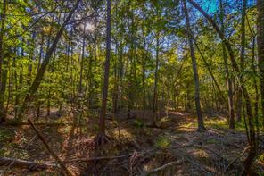 0 COUNTY ROAD 3409 - Photo 30