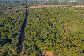 0 COUNTY ROAD 3409 - Photo 34