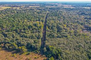 0 COUNTY ROAD 3409 - Photo 36