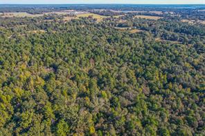 0 COUNTY ROAD 3409 - Photo 38