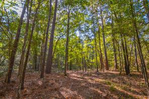0 COUNTY ROAD 3409 - Photo 4