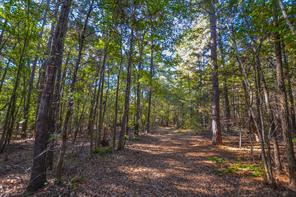 0 COUNTY ROAD 3409 - Photo 5