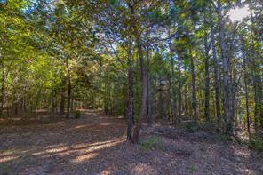 0 COUNTY ROAD 3409 - Photo 6