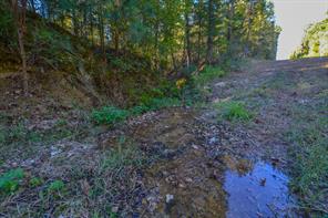 0 COUNTY ROAD 3409 - Photo 9
