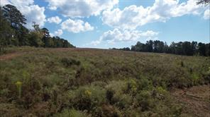 TBD-C County Road 4172D - Photo 3