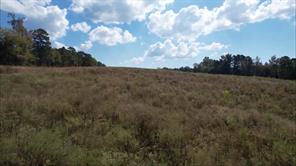 TBD-C County Road 4172D - Photo 4