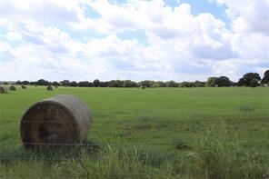 36 ACRES FM 1749 - Photo 2