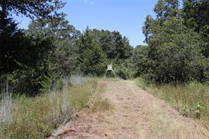 36 ACRES FM 1749 - Photo 4