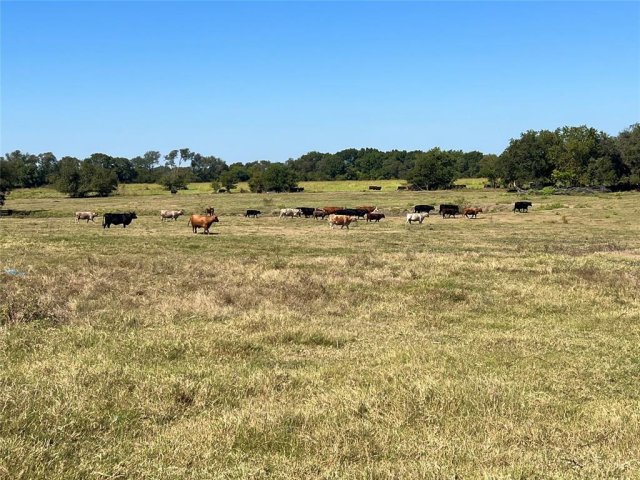 TBD 1368 acres Lowell Road