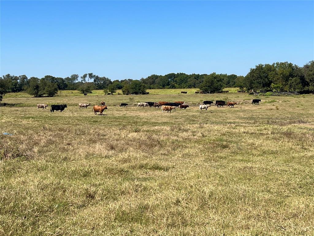 TBD 1368 acres Lowell Road - Photo 1
