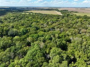 TBD 1368 acres Lowell Road - Photo 22