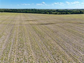 TBD 1368 acres Lowell Road - Photo 29