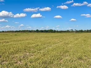 TBD 1368 acres Lowell Road - Photo 32